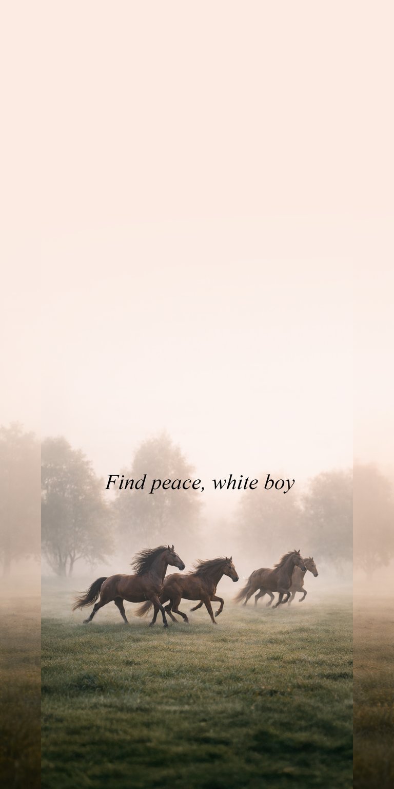 This serene 4K wallpaper for iPhone features a group of horses running through a misty morning field. The aesthetic wallpapers design captures a peaceful, cinematic mood with soft natural lighting and muted earthy tones.