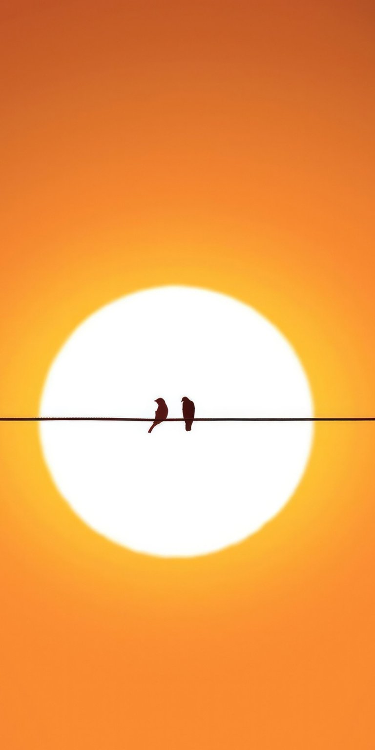 Two birds on a power line in front of orange sun wallpaper HD IOS