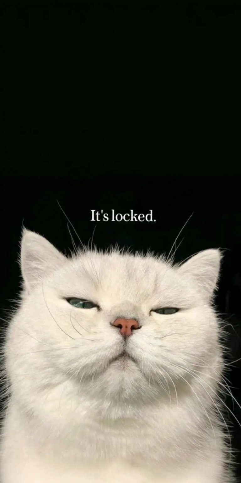 Lockscreen cat wallpaper iPhone HD