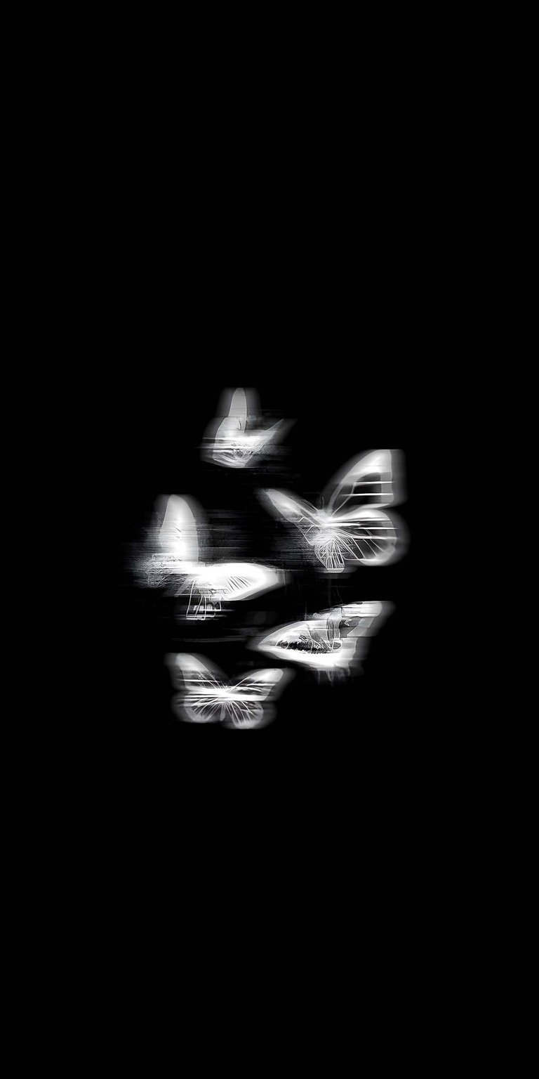 Butterflies blurred wallpaper for iPhone HD