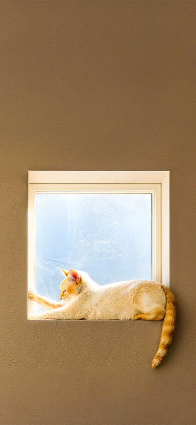 Aesthetic matching wallpaper iPhone 4K