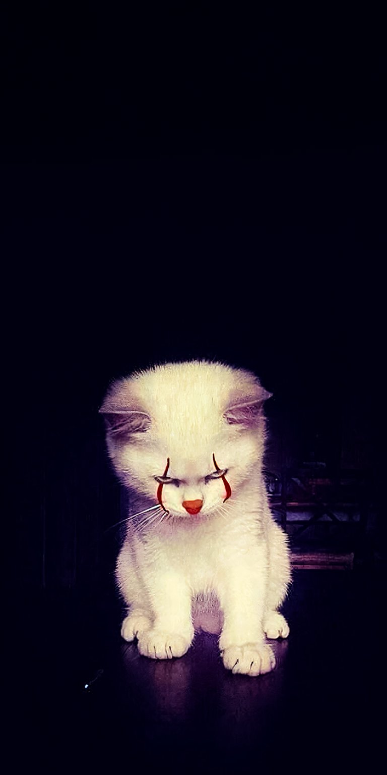 White kitten with face paint resembling the clown Pennywise from the movie It