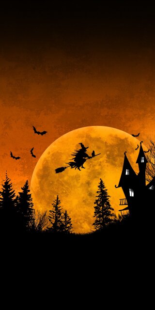 Scary banner moon view with witch flying wallpaper