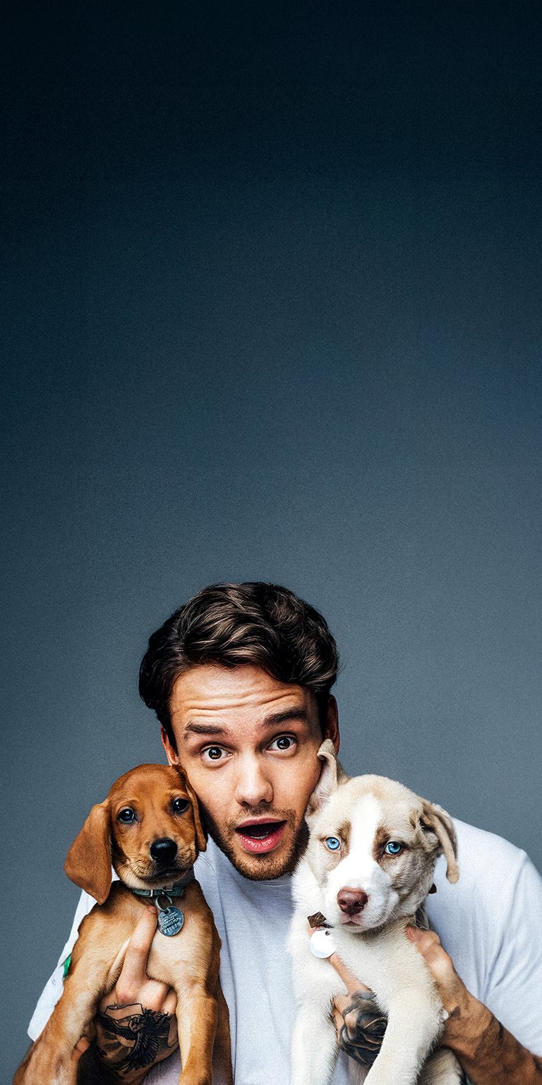 Liam Payne with his dogs wallpaper iPhone
