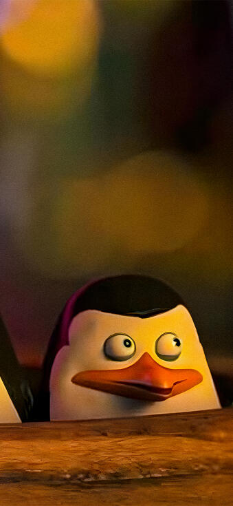 Kowalski quad wallpaper iPhone