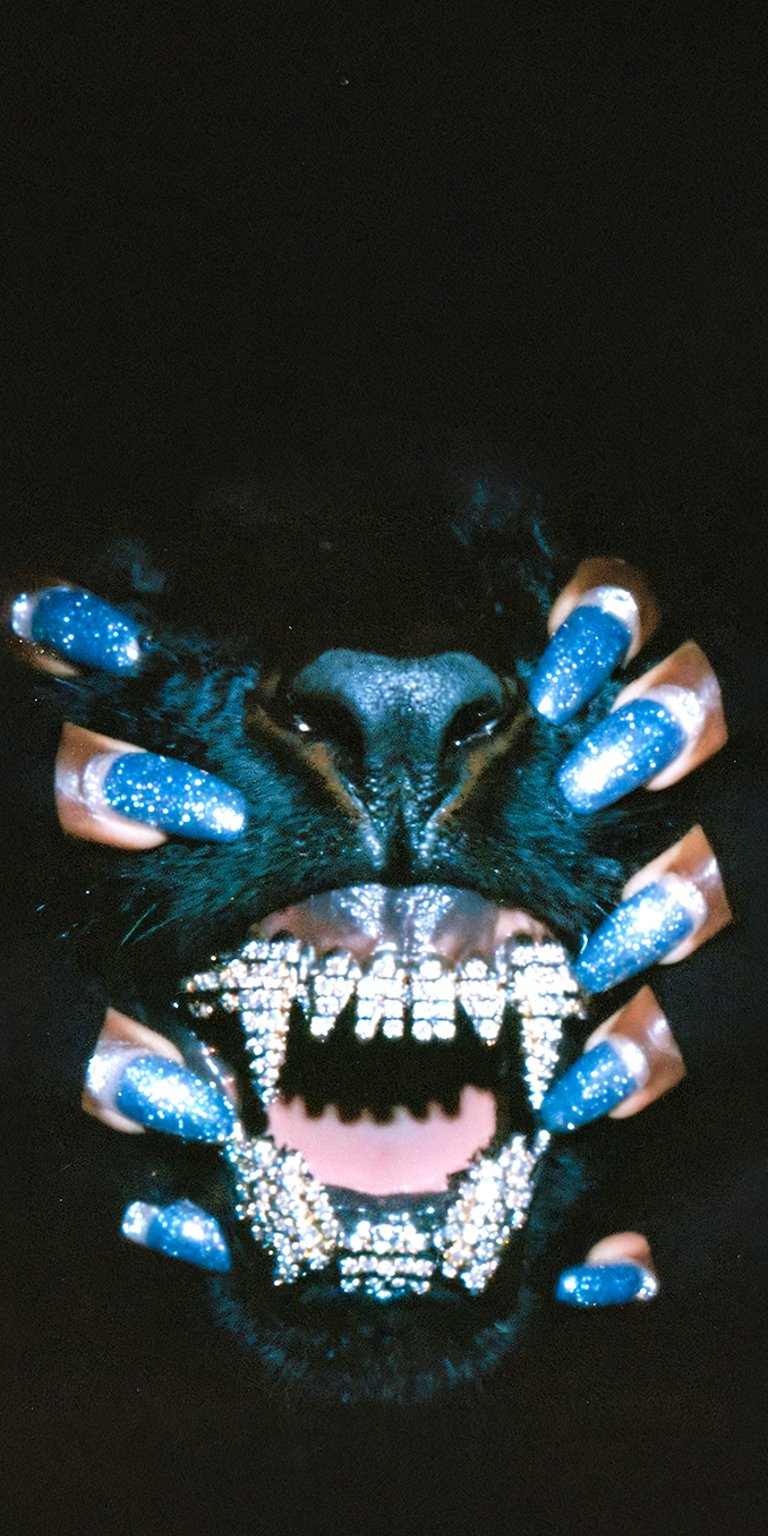 Diamond teeth dog wallpaper iPhone 4K