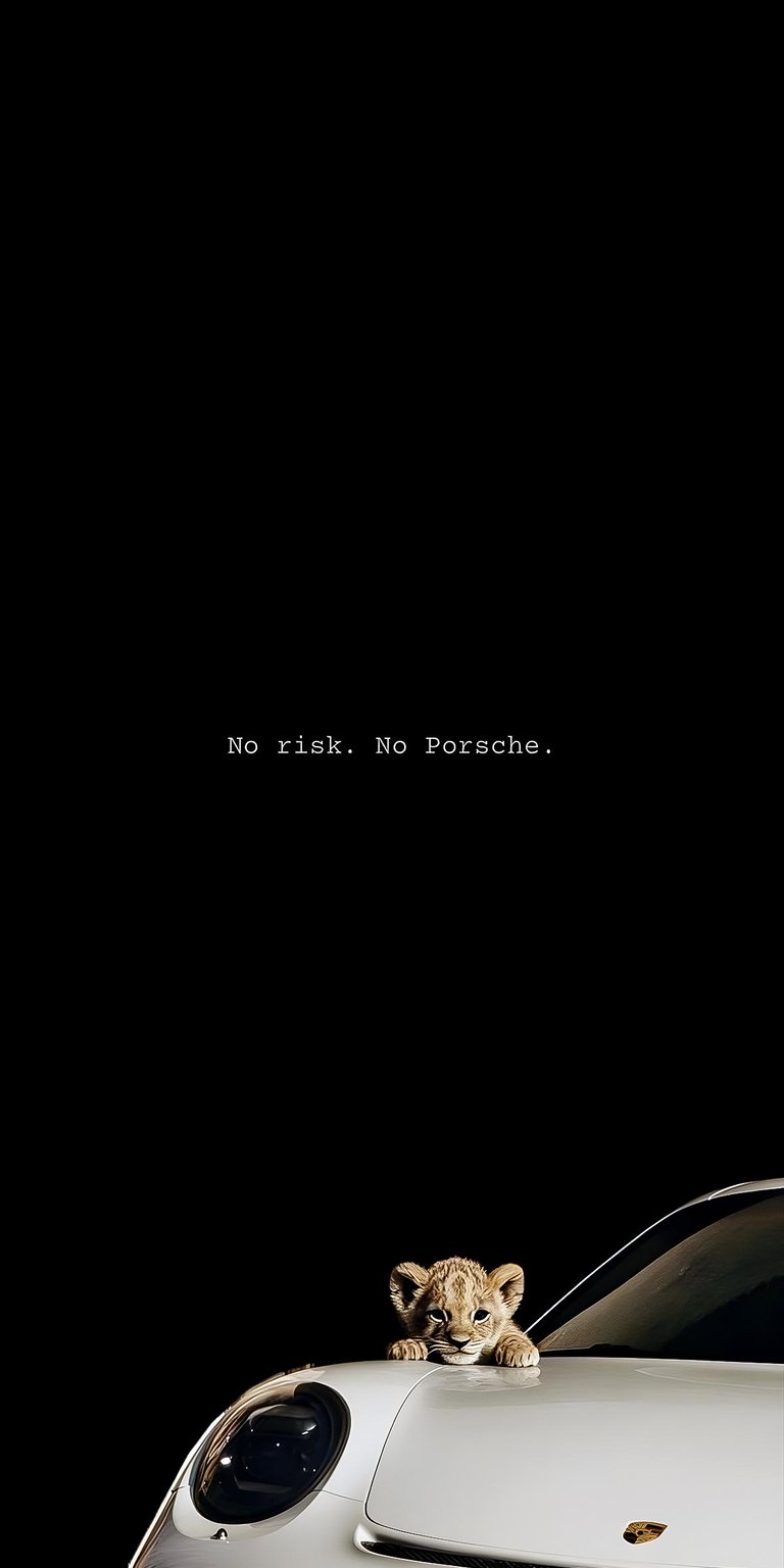 Porsche 911  with Florida panther wallpaper iPhone 4K