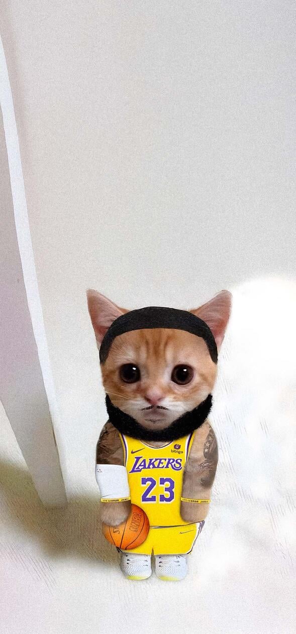 Travis Scott cat wallpaper HD iPhone