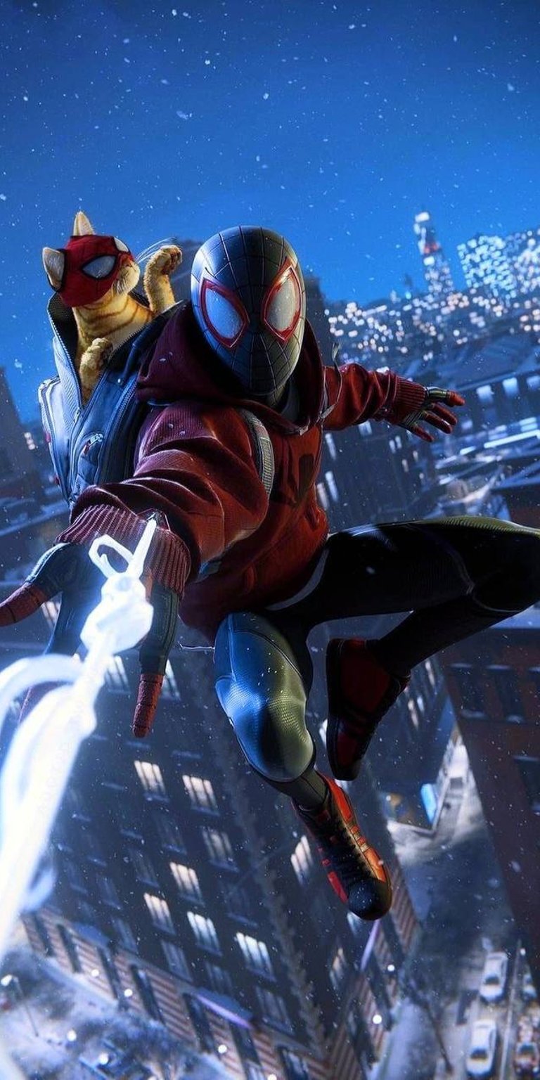 Spiderman casual swinging with cat  wallpaper 4k