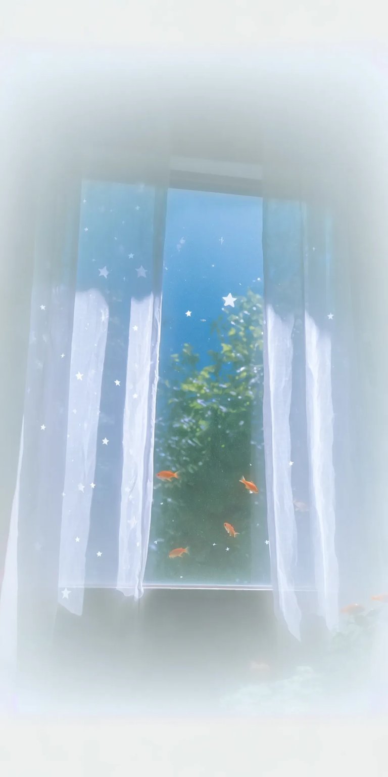 Window with sheer white curtains iOS wallpaper HD