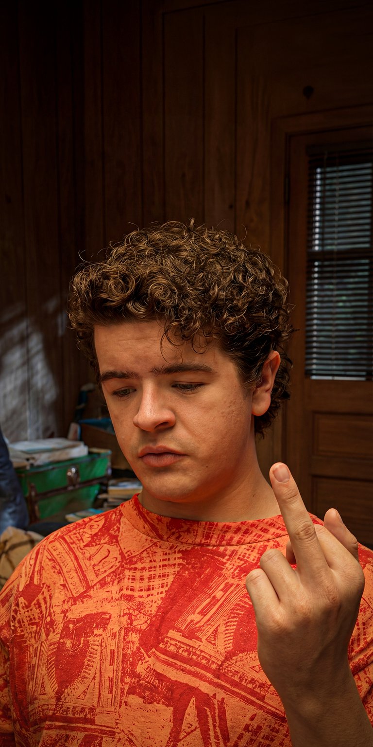 Download this Dustin Henderson 4K wallpaper for your iPhone, showcasing his curly hair, and distinctive printed shirt. This HD wallpaper captures a memorable scene.