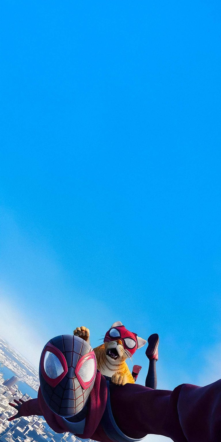 Spiderman Miles with cat wallpaper HD