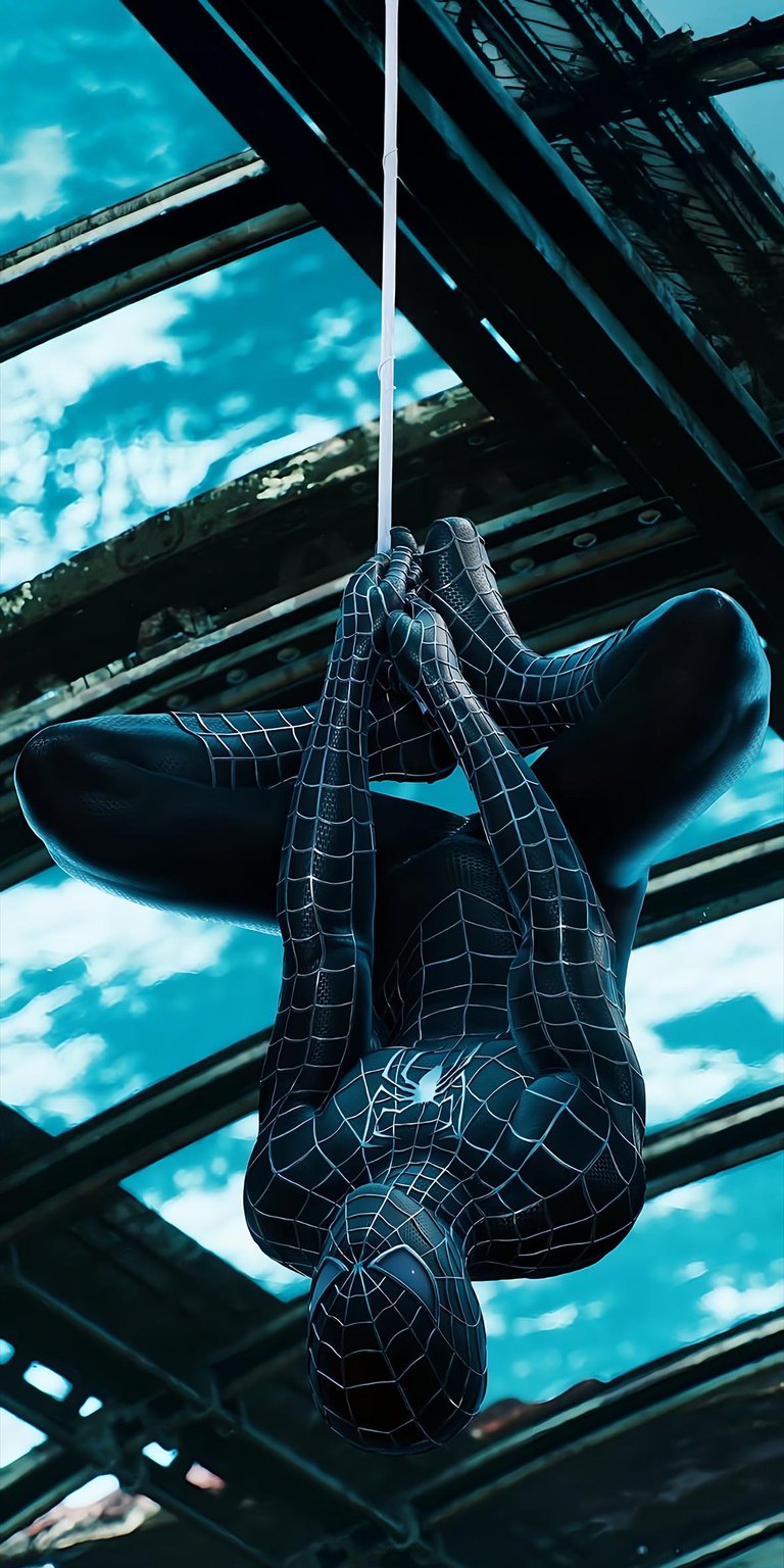 Black Spiderman hanging wallpaper for iPhone HD