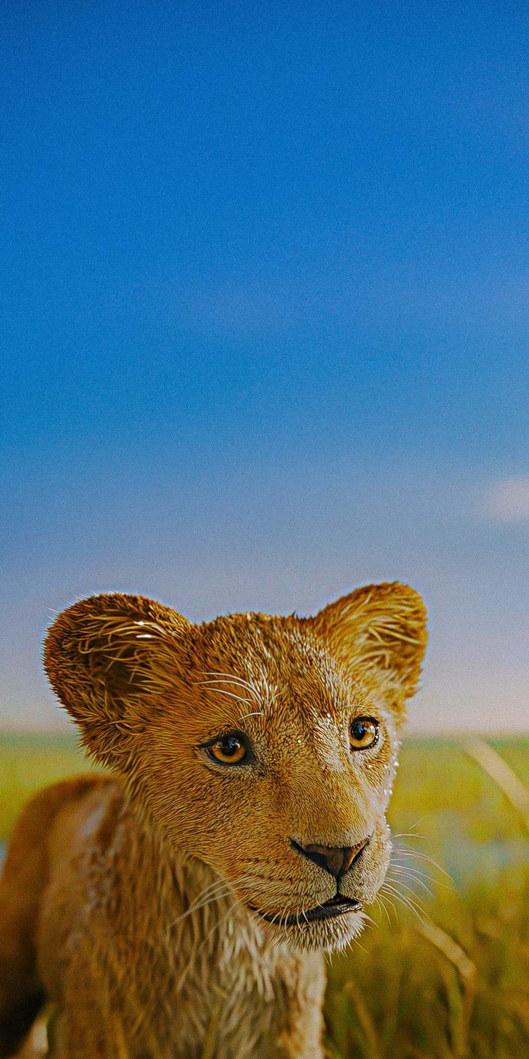 Mufasa baby Lion King wallpaper for iPhone