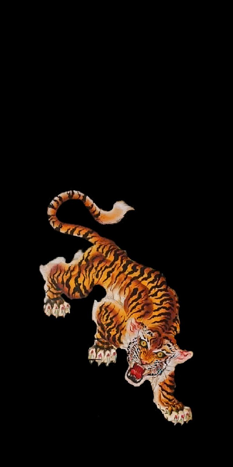 Irezumi tigrt art wallpapers iPhone 4K