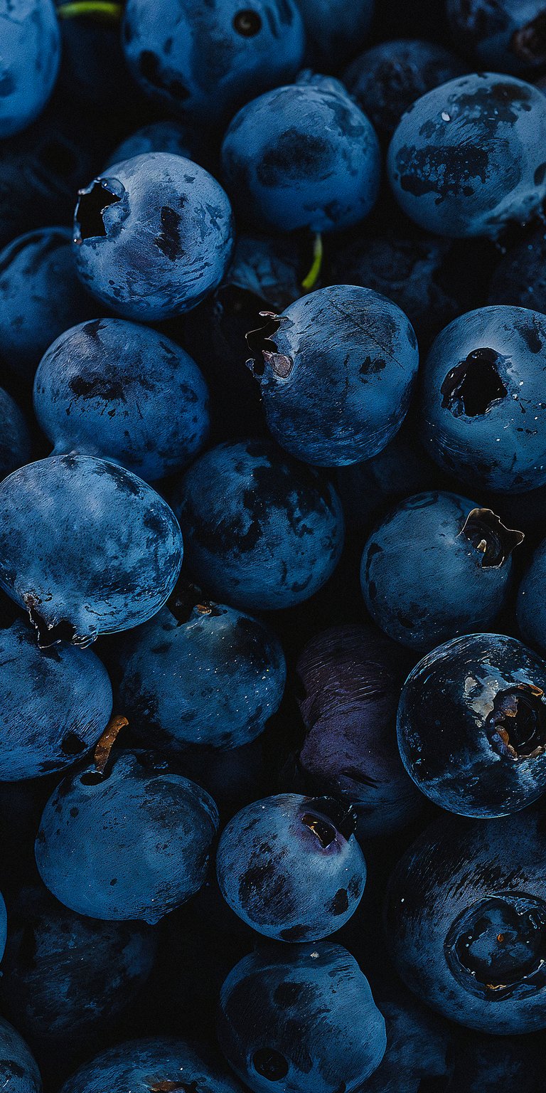 Blueberries Aesthetic Macro Wallpaper HD