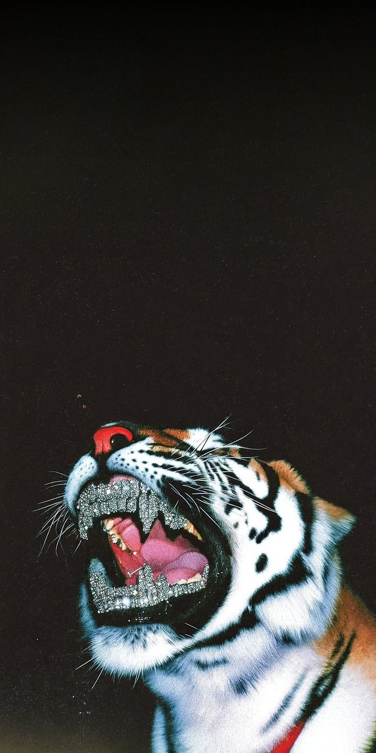 Download this incredible Tiger wallpaper in 4K for your iPhone, showcasing an up-close view of a roaring tiger with diamond-studded teeth. This amazing wallpaper features the animal against a black background and the current time.