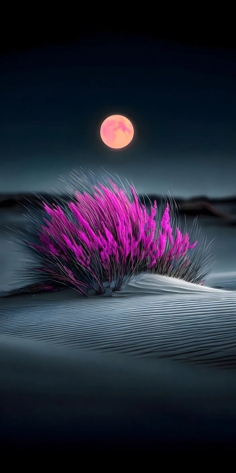 Desert flowers dark iPhone wallpaper 4K