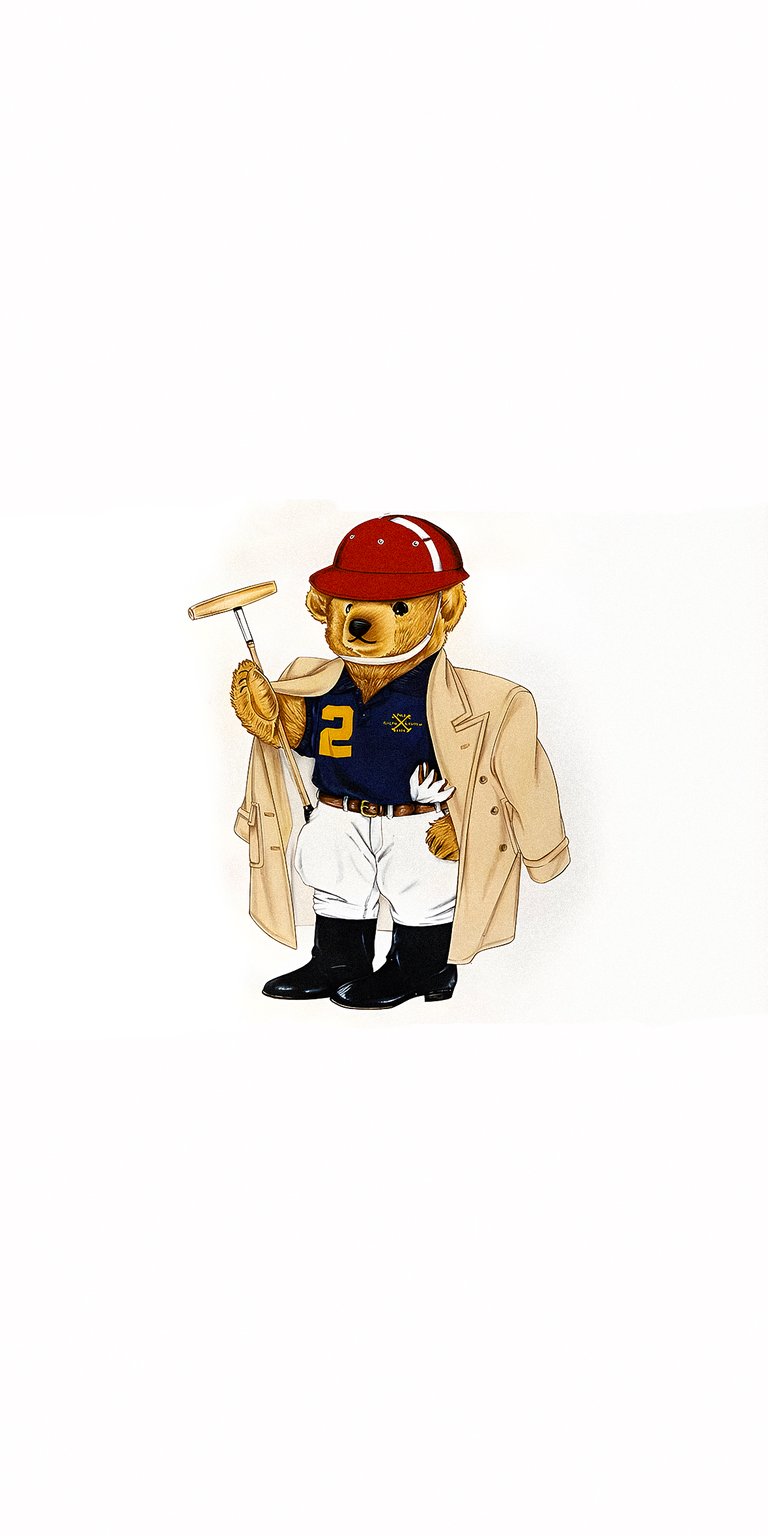 Bear wearing sport attire wallpaper 4k for mobile