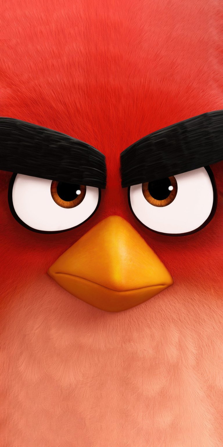 Red focus face angry bird wallpaper