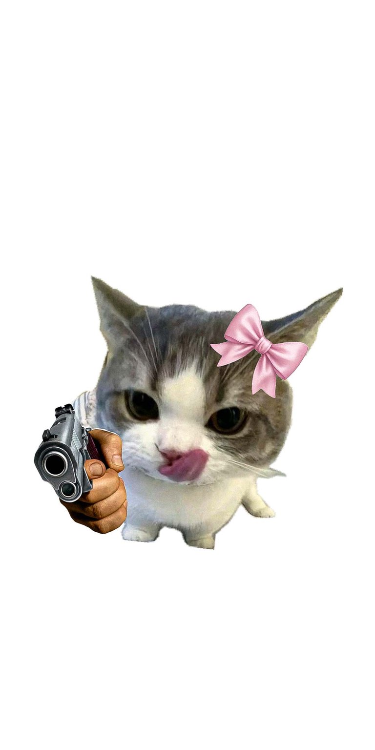 Dangerous Cat Wallpaper HD iPhone