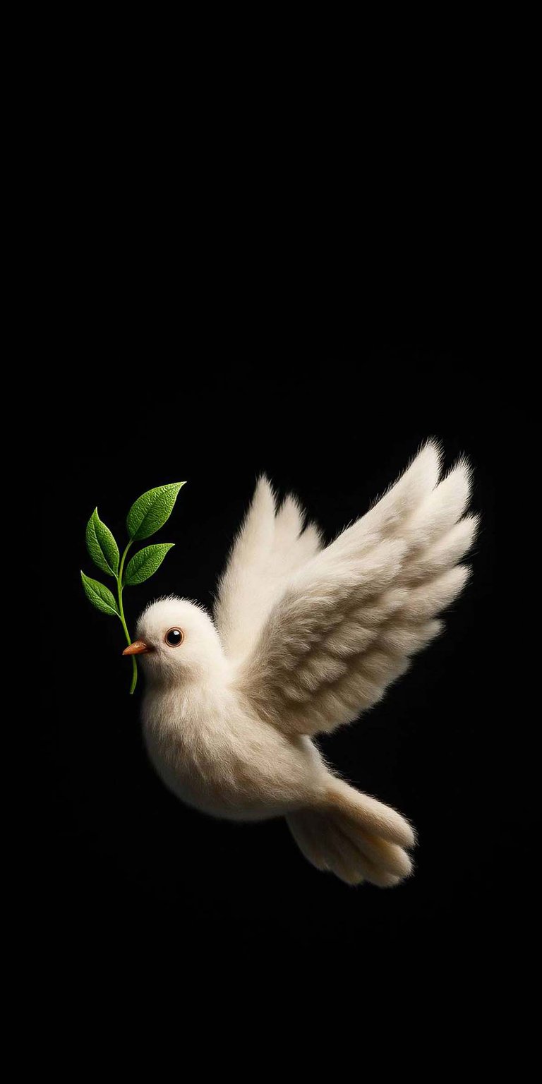 White pigeon wallpaper for iPhone HD