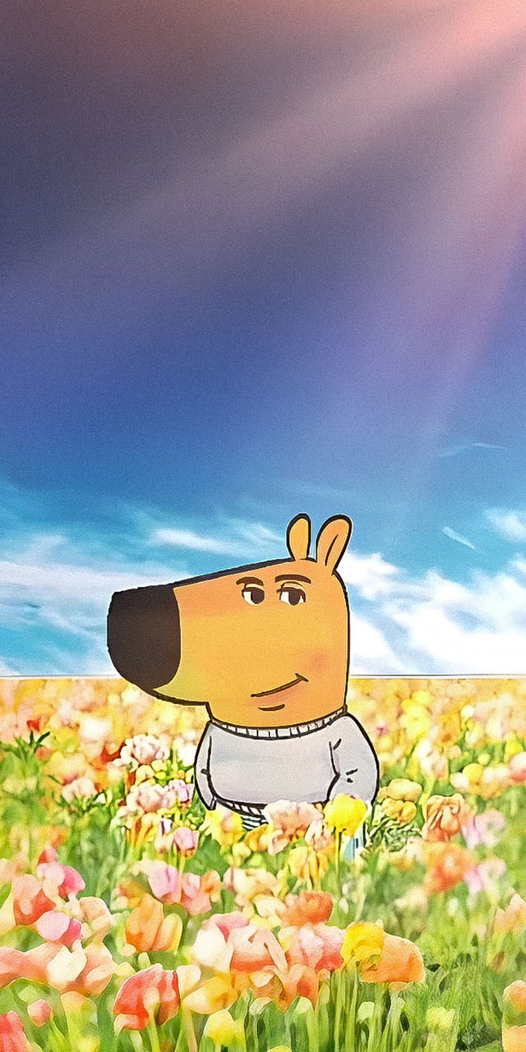 Chill guy iPhone wallpaper