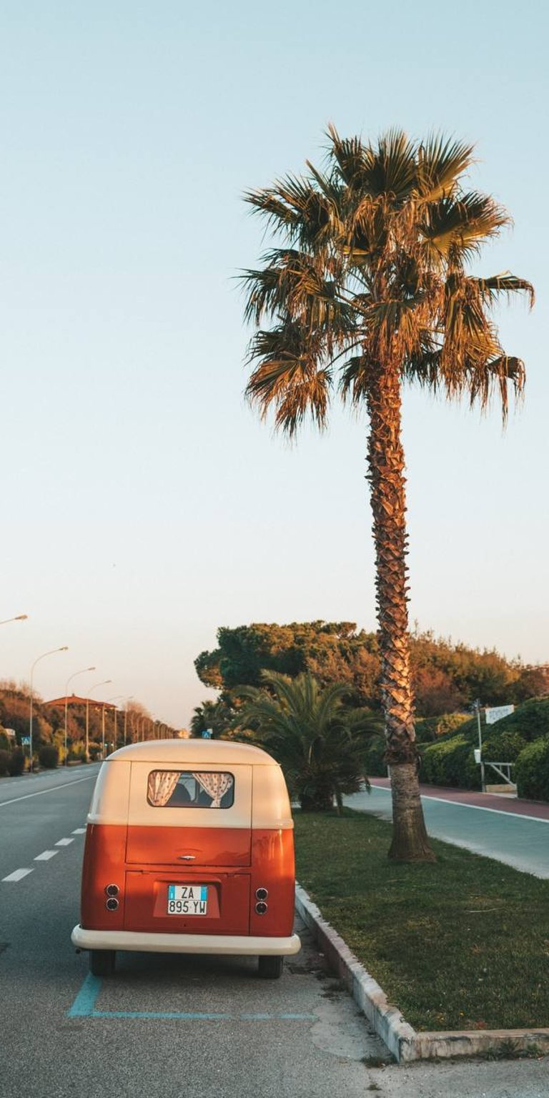 Type 2 wallpaper iPhone