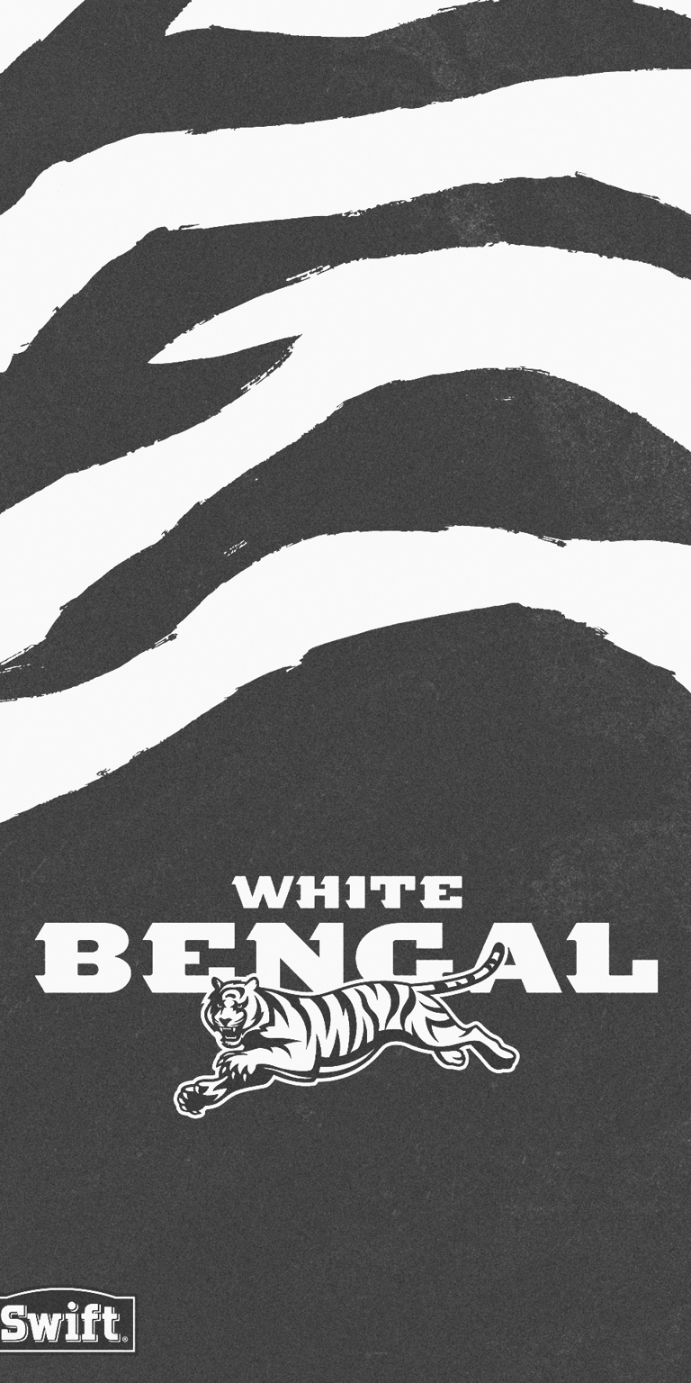 Cincinnati Bengals poster wallpaper iPhone 4k