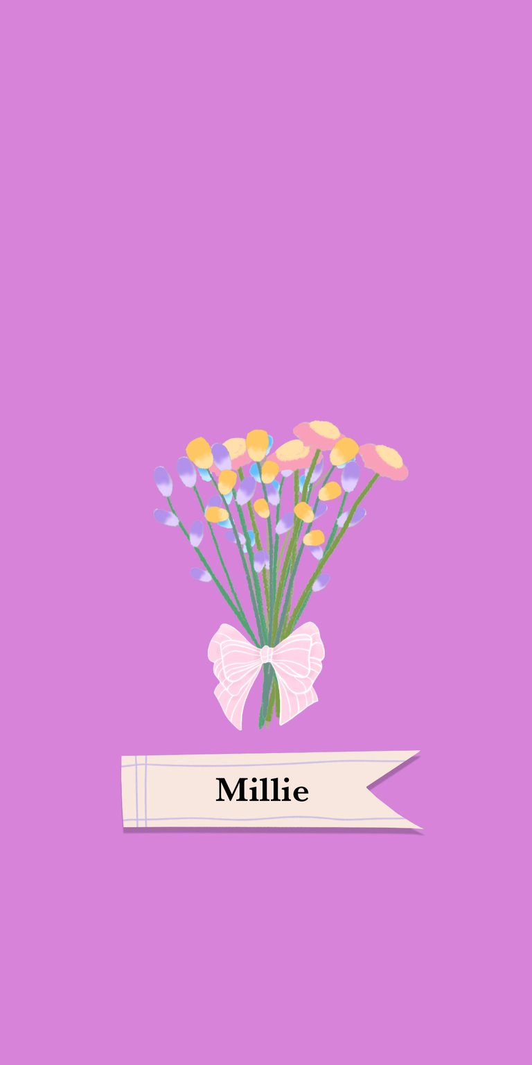 pink illustration flower yellow white purple daisy bouquet label ribbon bow tulip name millie