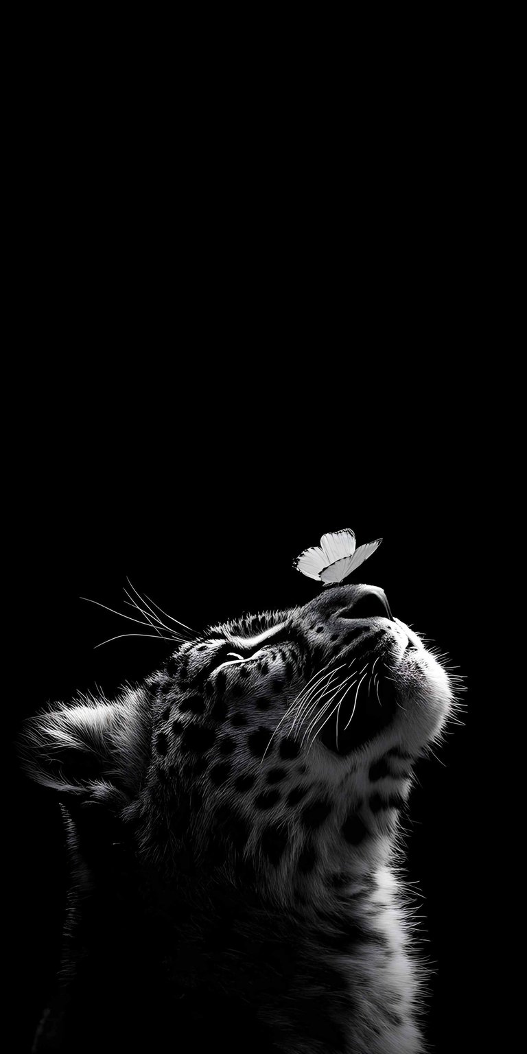 This striking 4K wallpaper features a majestic leopard looking up at a delicate white butterfly perched on its nose for your iPhone. This OLED wallpaper uses a deep black background and high-contrast monochrome tones to create a serene and powerful mood.