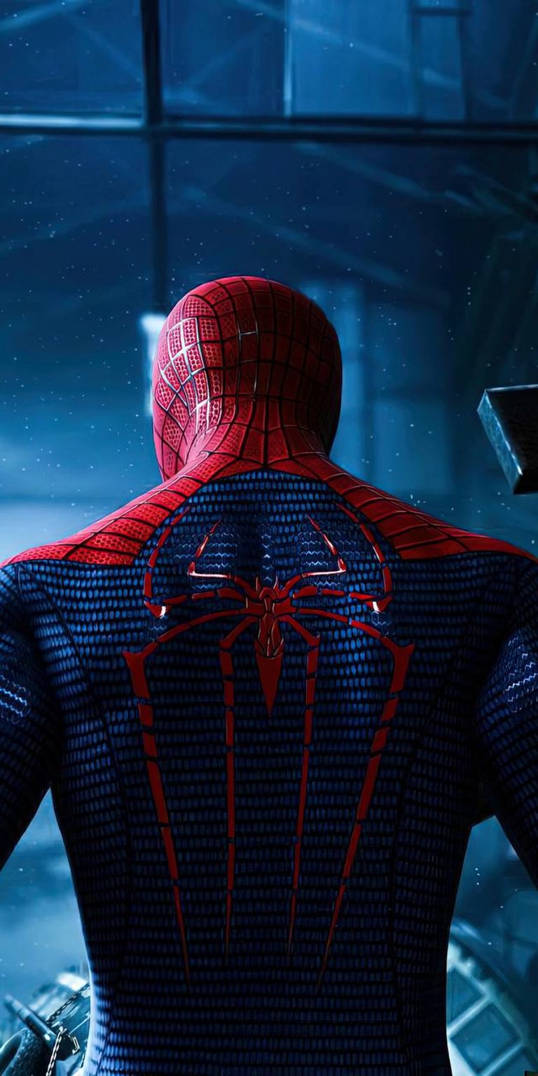 Back view pose of Spiderman wallpaper s4k