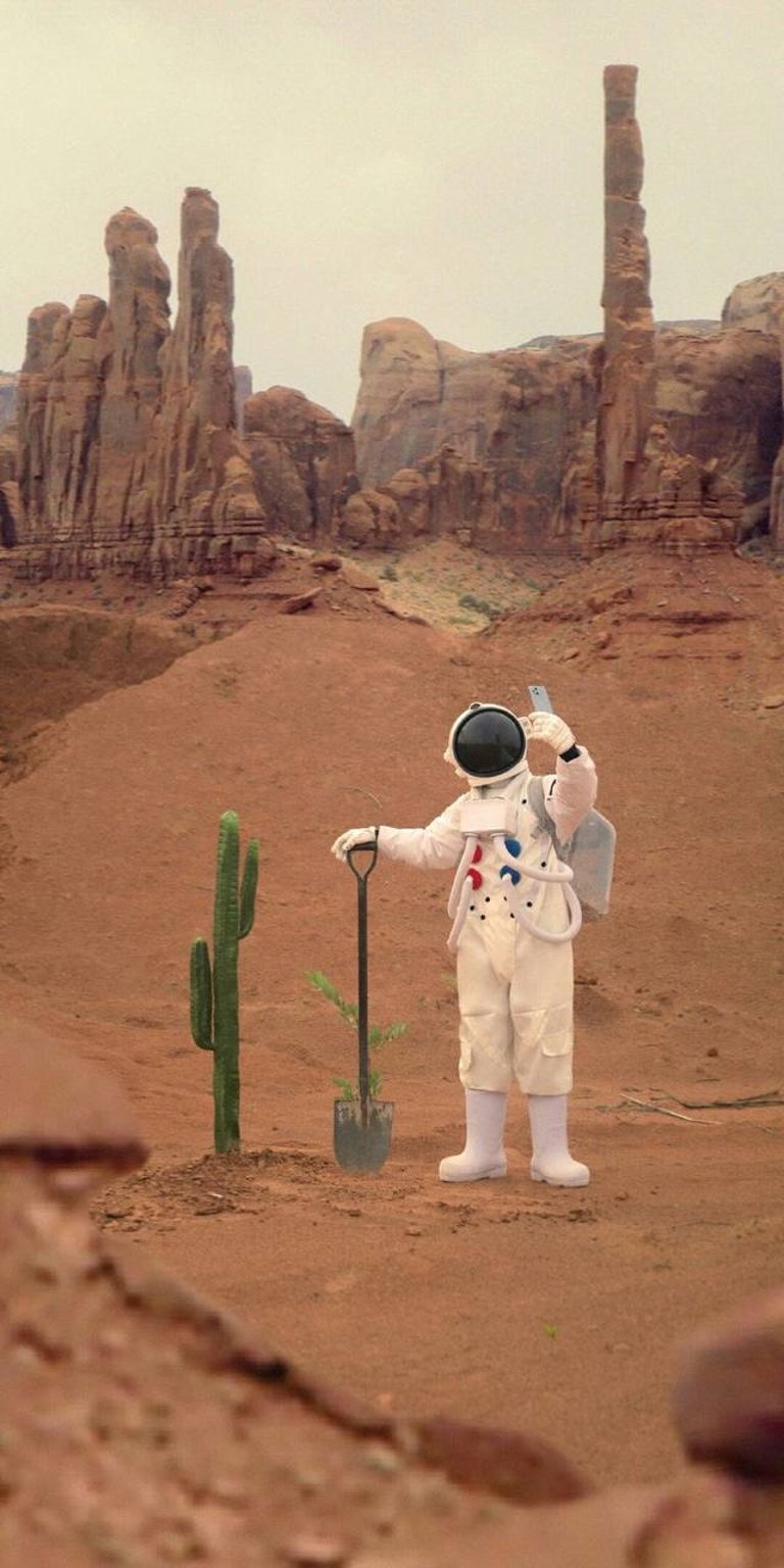 Astronaut planting phone wallpapers