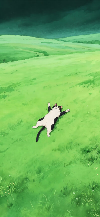 Aesthetic Cats matching wallpaper iPhone 4K