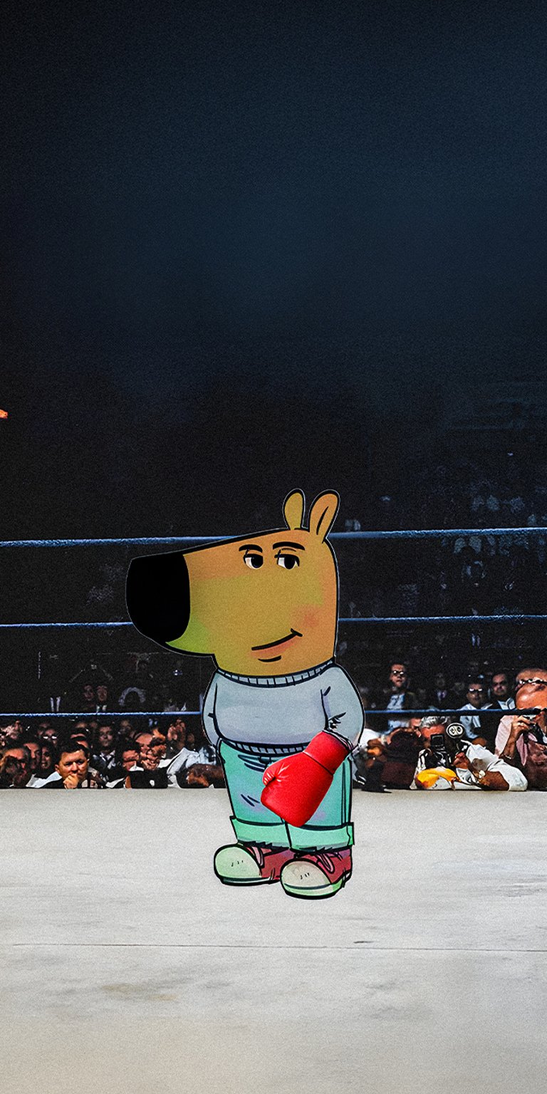 Chill Guy wearing gloves on boxing ring wallpaper