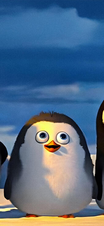 Penguins matching wallpaper iPhone