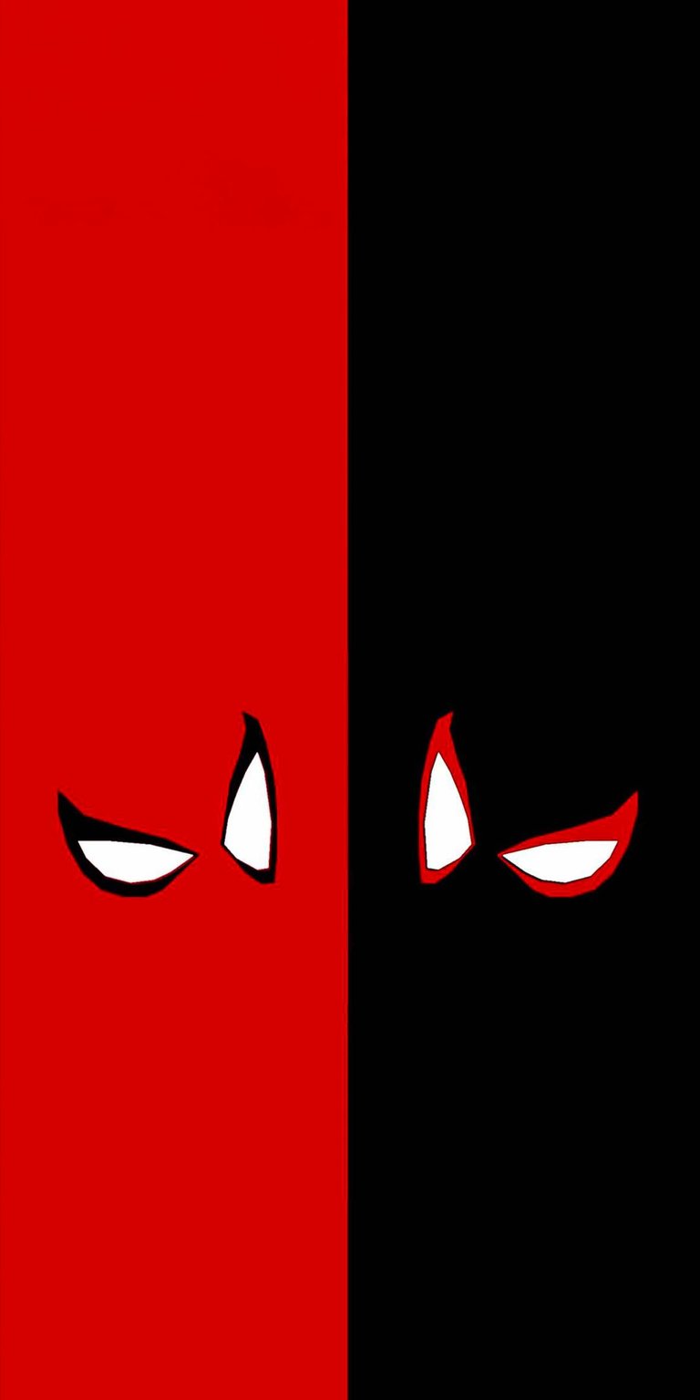 Spiderman duo iPhone wallpaper 4K