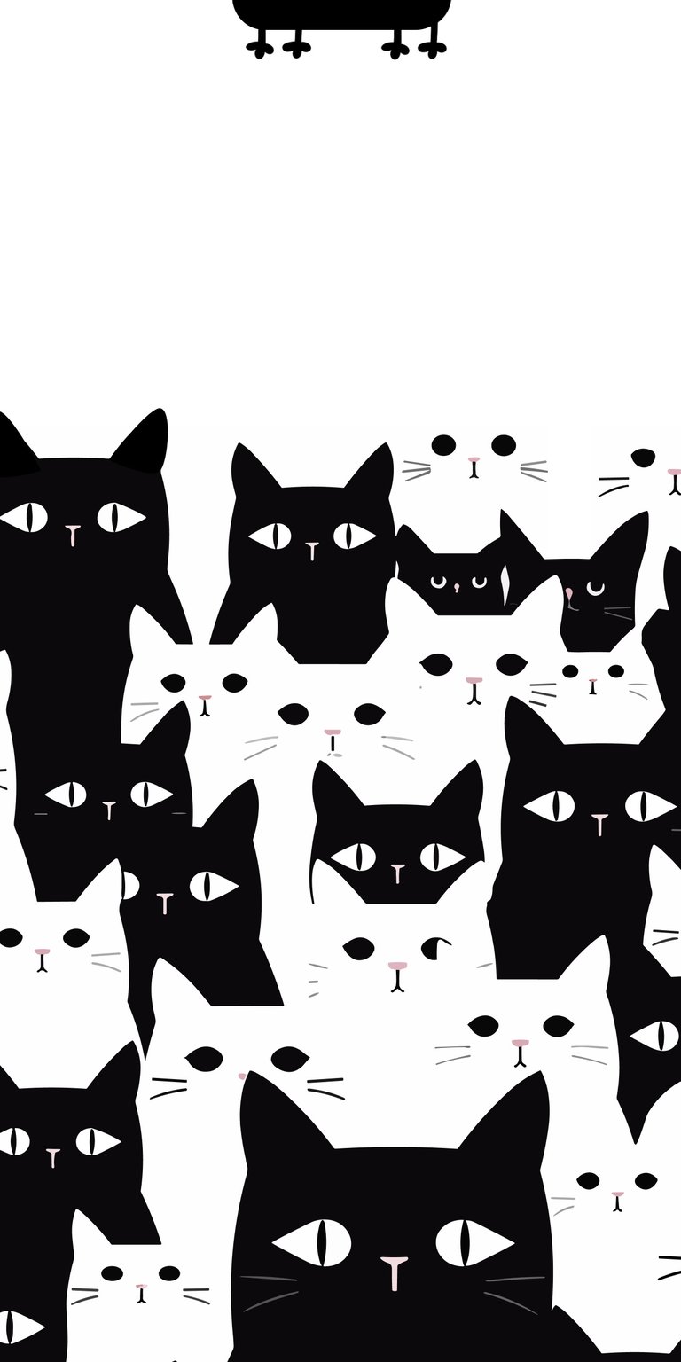 Black and white cats next to each other wallpaper