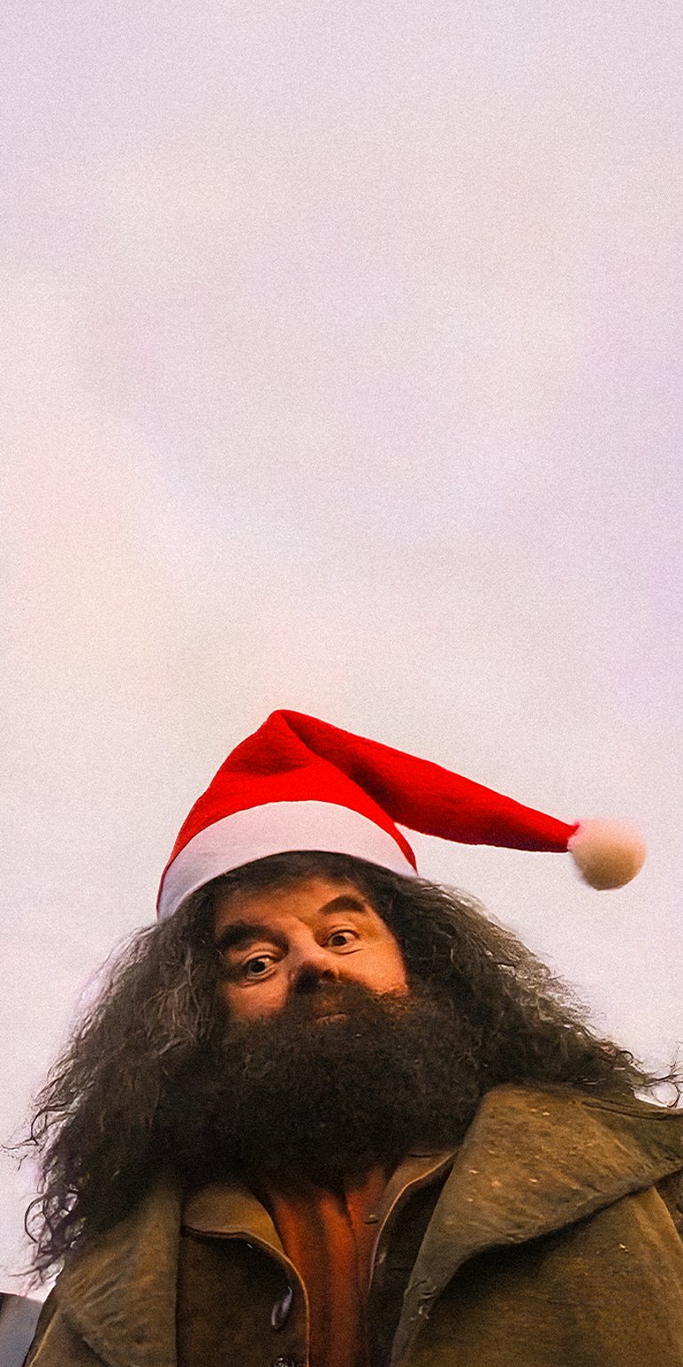 Rubeus Hagrid wearing a santa hat wallpaper in HD