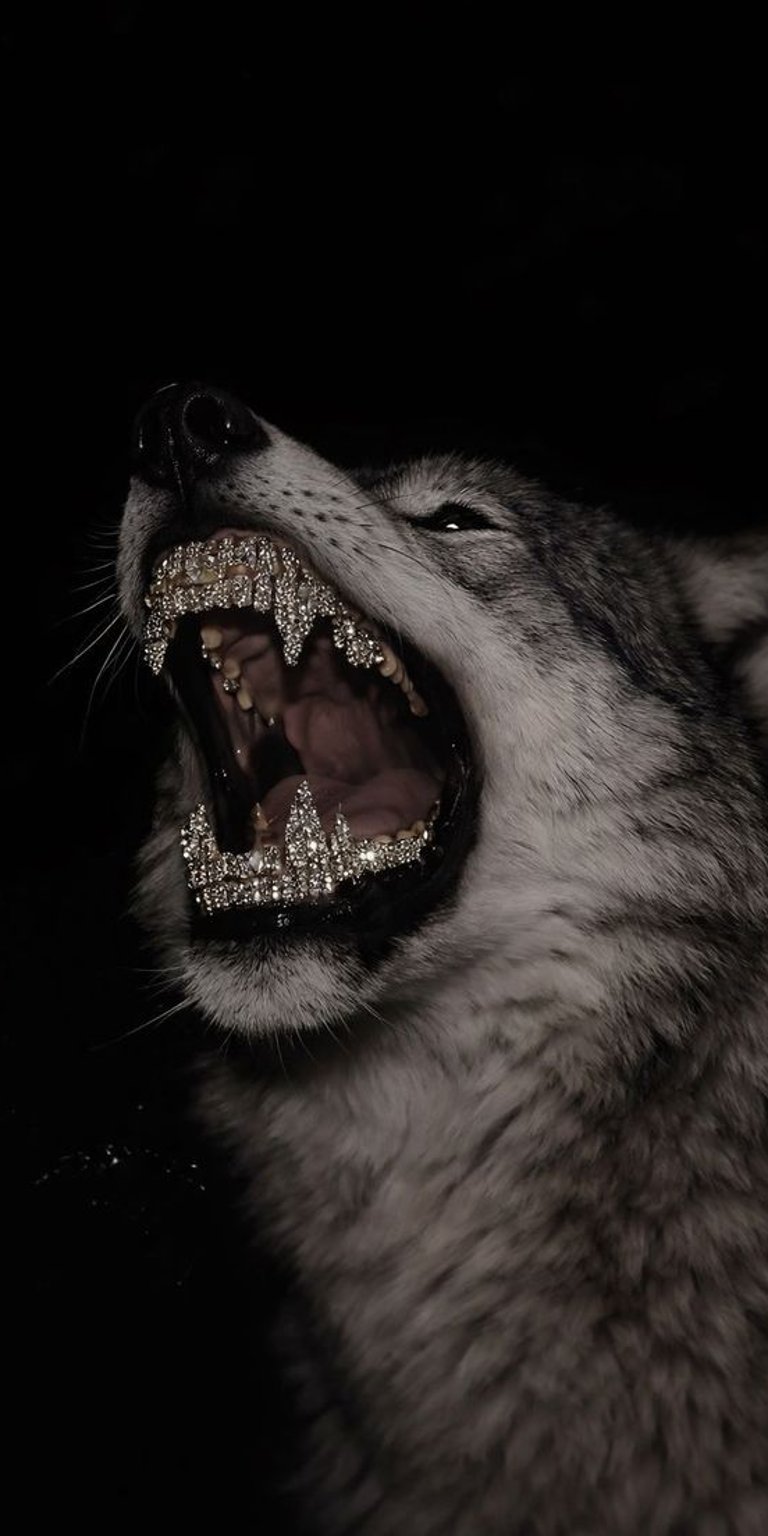 Wolf Grillz dark wallpaper designed in an OLED / AMOLED wallpapers style for iPhone, emphasizing deep blacks and extreme contrast. This wallpaper features dramatic low lighting, sharp fur detail, and an aggressive, cinematic mood.