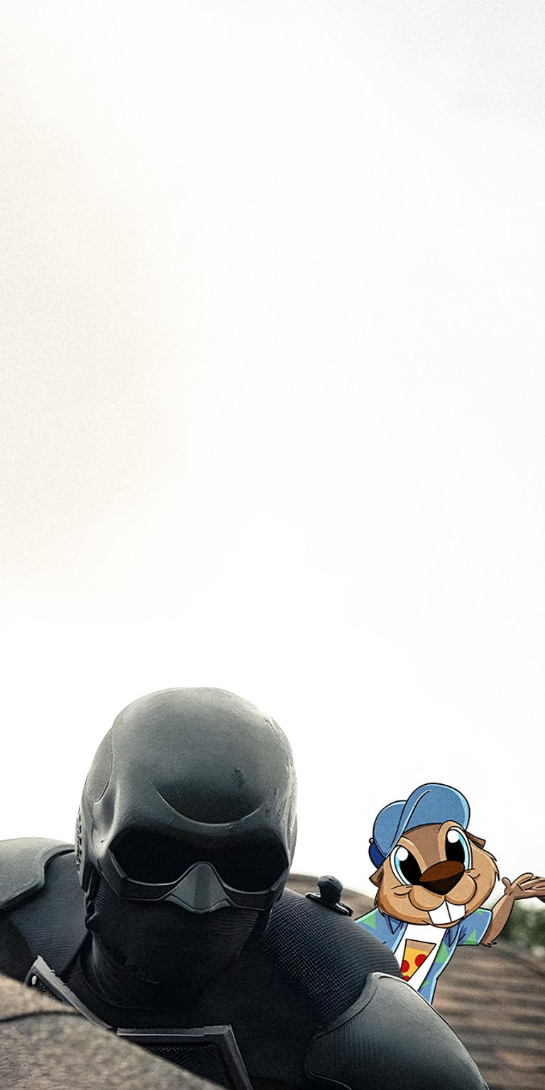 Black Noir and Chipmunk on the roof wallpapers