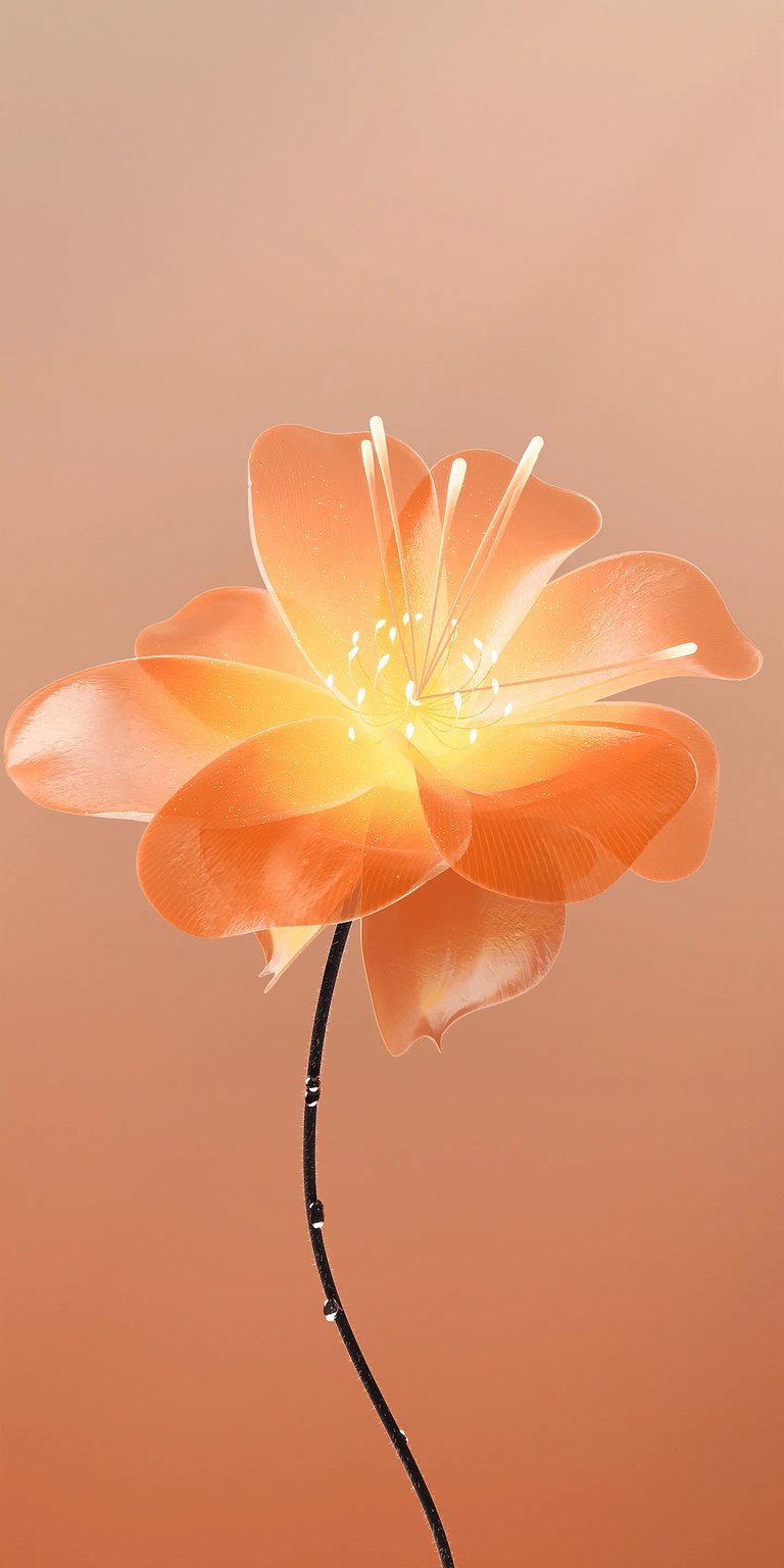 Download this stunning orange flower 4K wallpaper for your iPhone, showcasing its translucent petals and glowing center. The wallpaper features a delicate stem with water droplets, adding a touch of elegance to your mobile device.