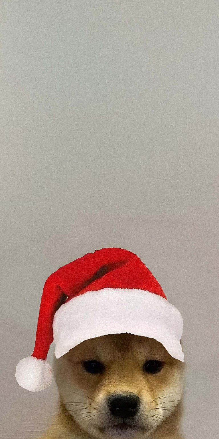 christmas christmas tree christmas light holiday