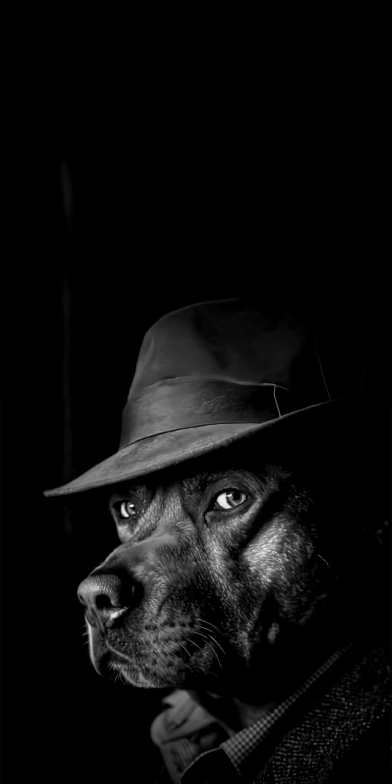 Channel classic cinema vibes with this unique "Detective Canine" 4K wallpaper. Featuring a sharp-eyed dog wearing a vintage fedora hat, this monochrome piece uses dramatic shadows and lighting to mimic the film noir genre. It’s a sophisticated and slightly whimsical choice for pet lovers who appreciate a moody, artistic, and mysterious aesthetic for their screens.