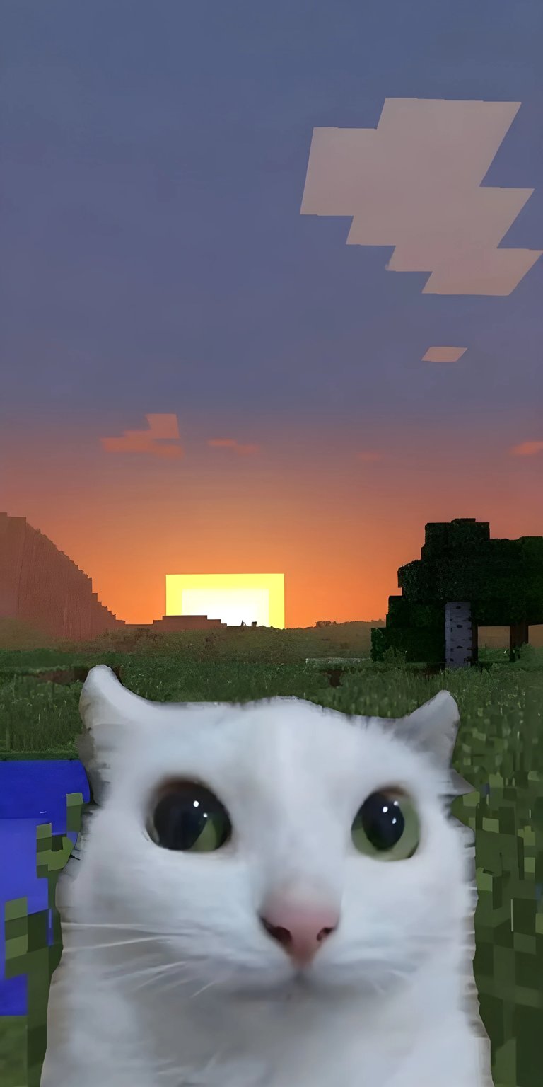 Minecraft white cat wallpaper for iPhone 4K