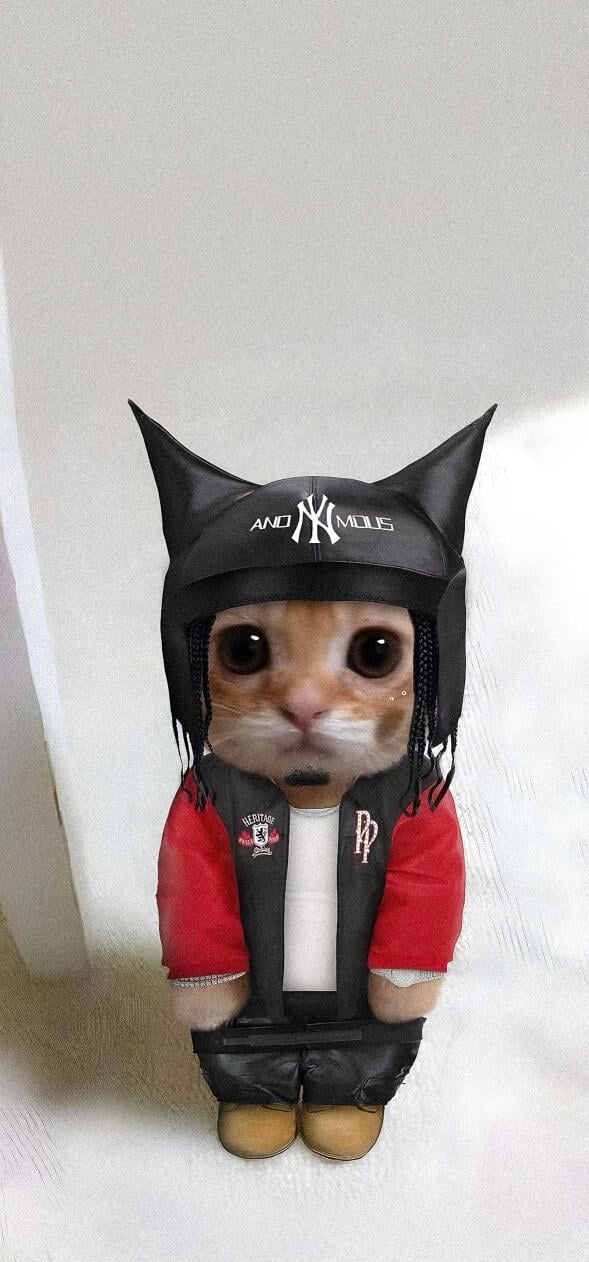 Travis Scott cat wallpaper HD iPhone