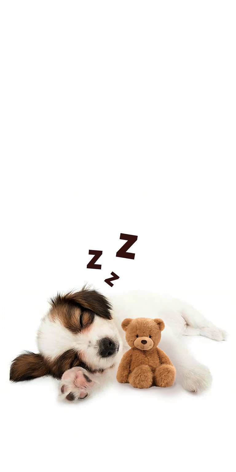 Dog sleeping with teddy bear wallpaper 4k iPhone