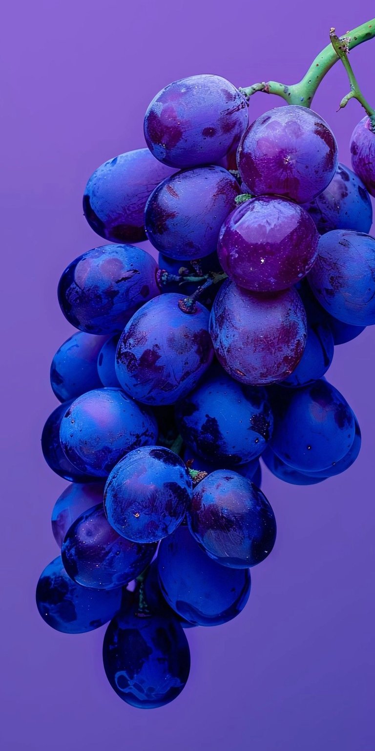 Download this stunning grapes wallpaper in 4K for your iPhone, showcasing the vibrant purple hues and delicate water droplets. This wallpaper beautifully captures the round plumpness of the grapes and the subtle shadows.
