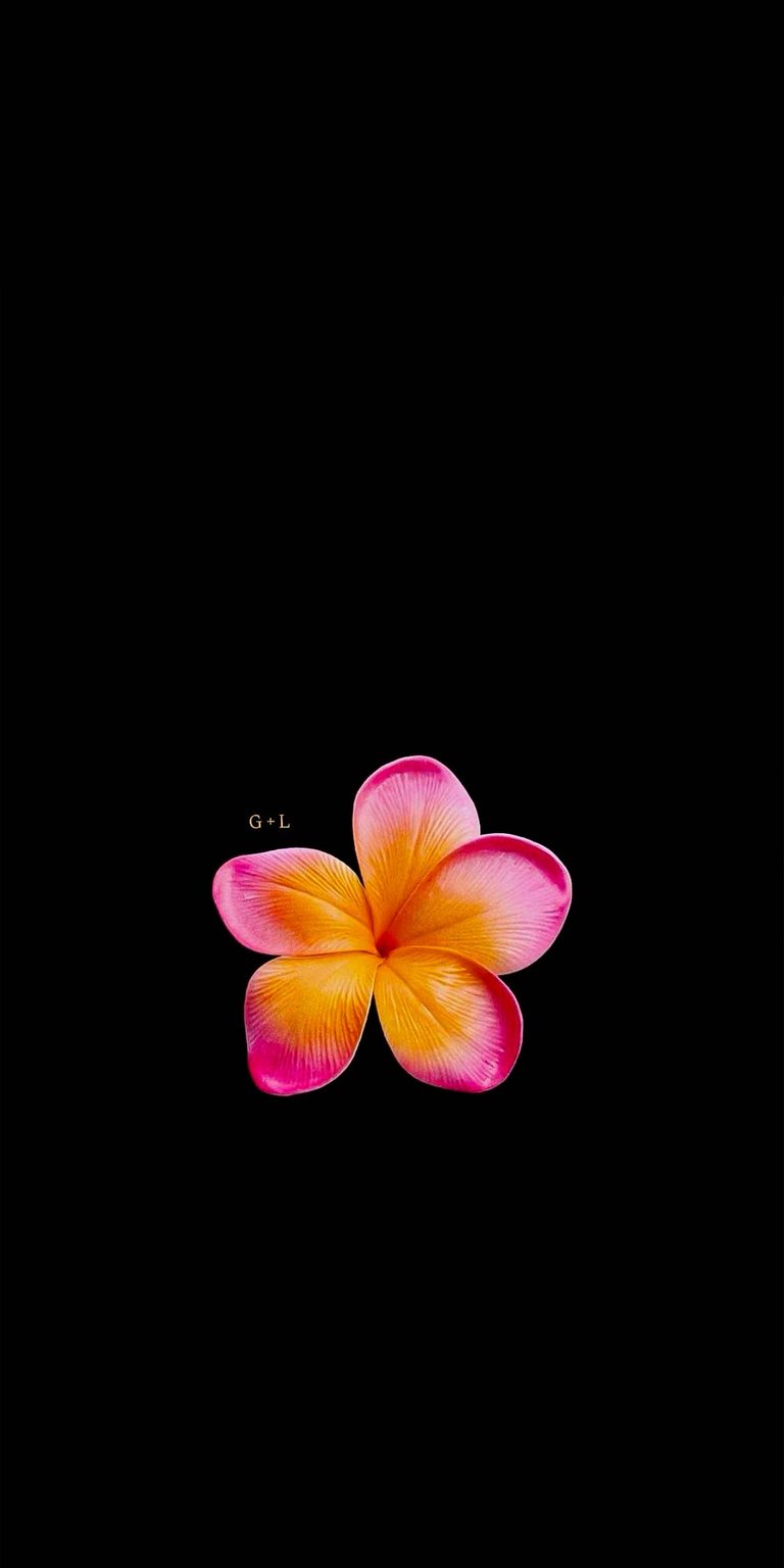 Plumeria Initial flowers iPhone wallpaper HD