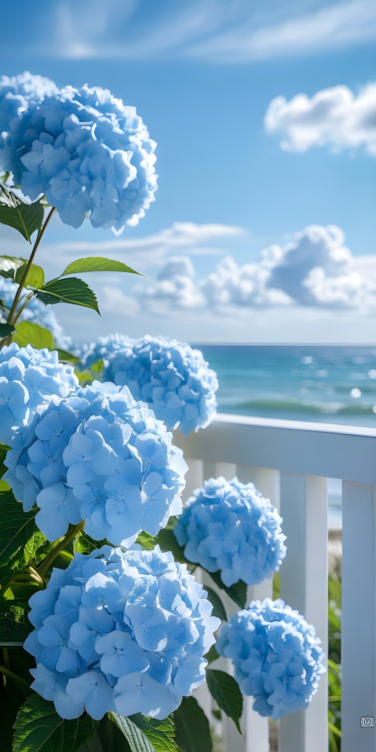 Add a touch of elegance with this blue hydrangea ocean view 3D wallpaper featuring lush floral clusters overlooking the sea. This vibrant iPhone wallpaper brings a refreshing coastal aesthetic to your mobile device.